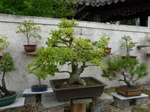 Jardins yili 4